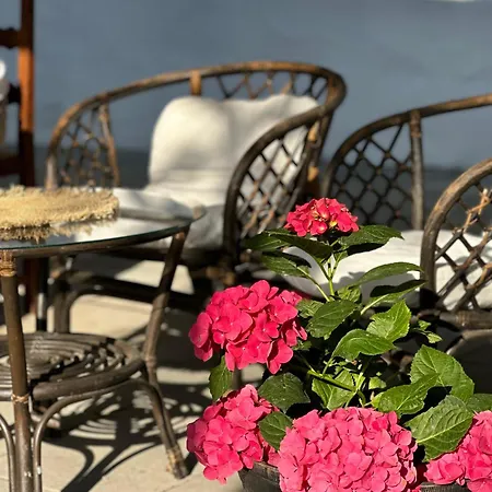 Irb Emona 4 Guest house *